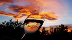 為什么說(shuō)葡萄酒是養(yǎng)生飲品，這里有最全的回答