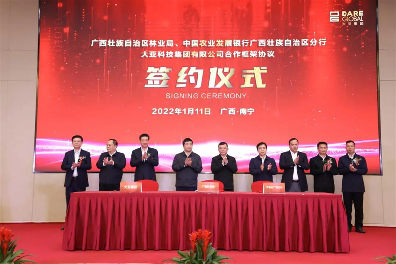 大亞科技