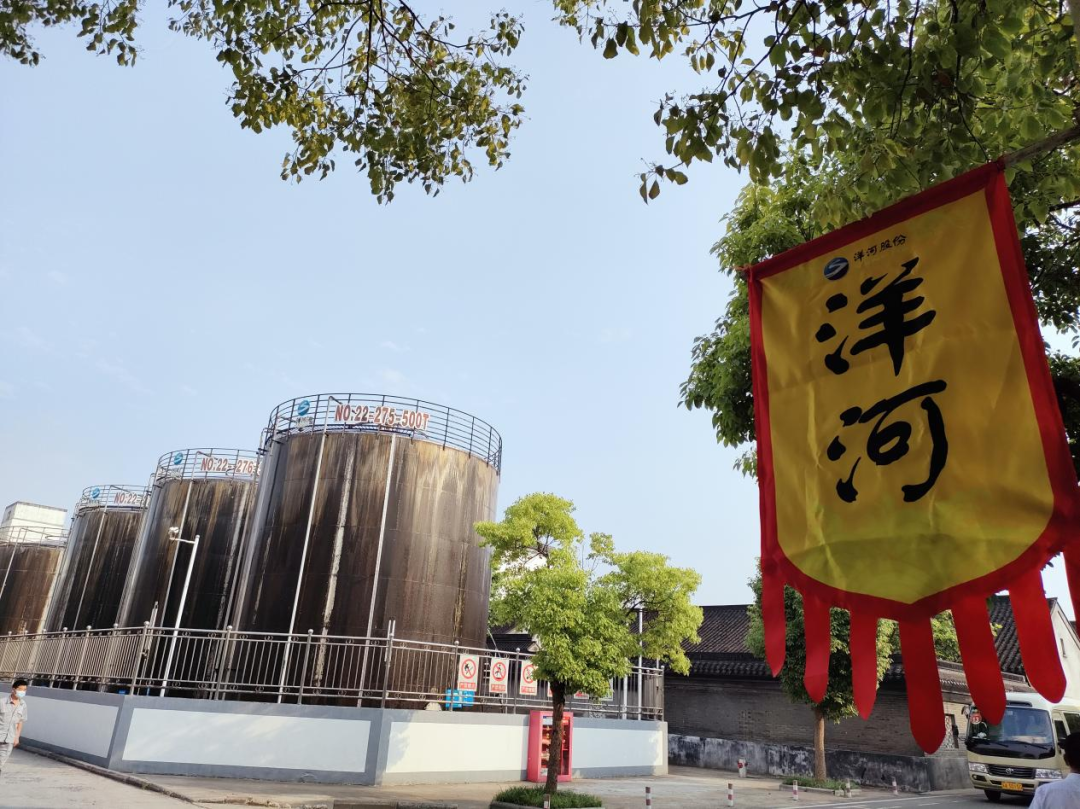 洋河