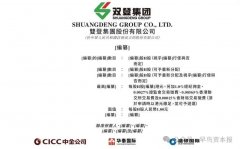 雙登股份通過港交所上市聆訊，將成AIDC配套儲(chǔ)能第一股